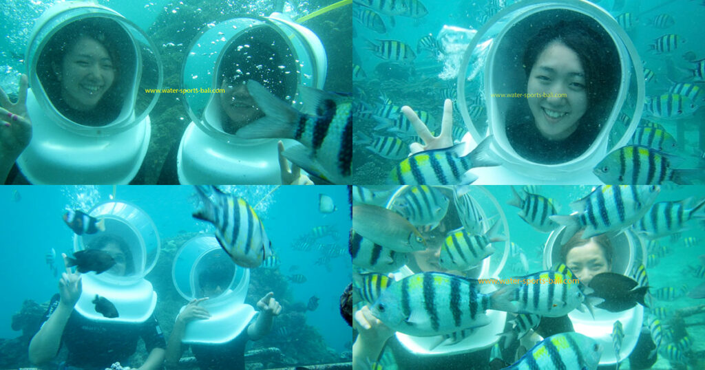 Seawalker Bali Tanjung Benoa Affordable Undersea Adventure