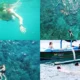 Snorkeling Experience in Bali