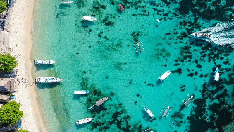 Mushroom Bay Beach