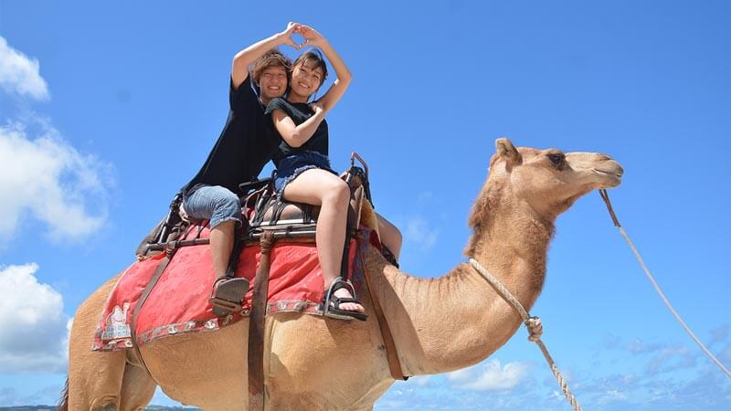 Bali Camel Ride