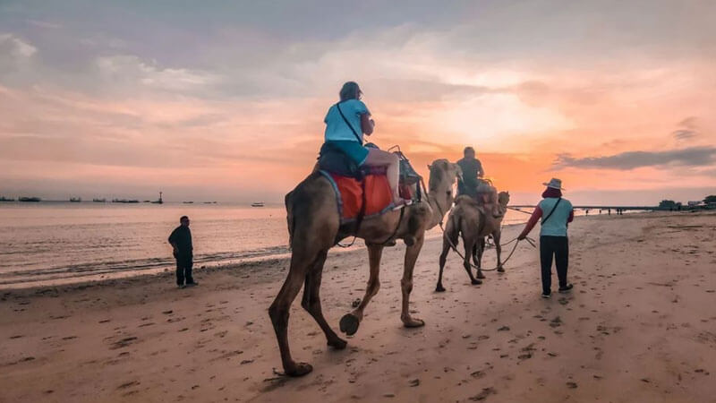 Breathtaking sunset view from camel ride at Kelan Beach.