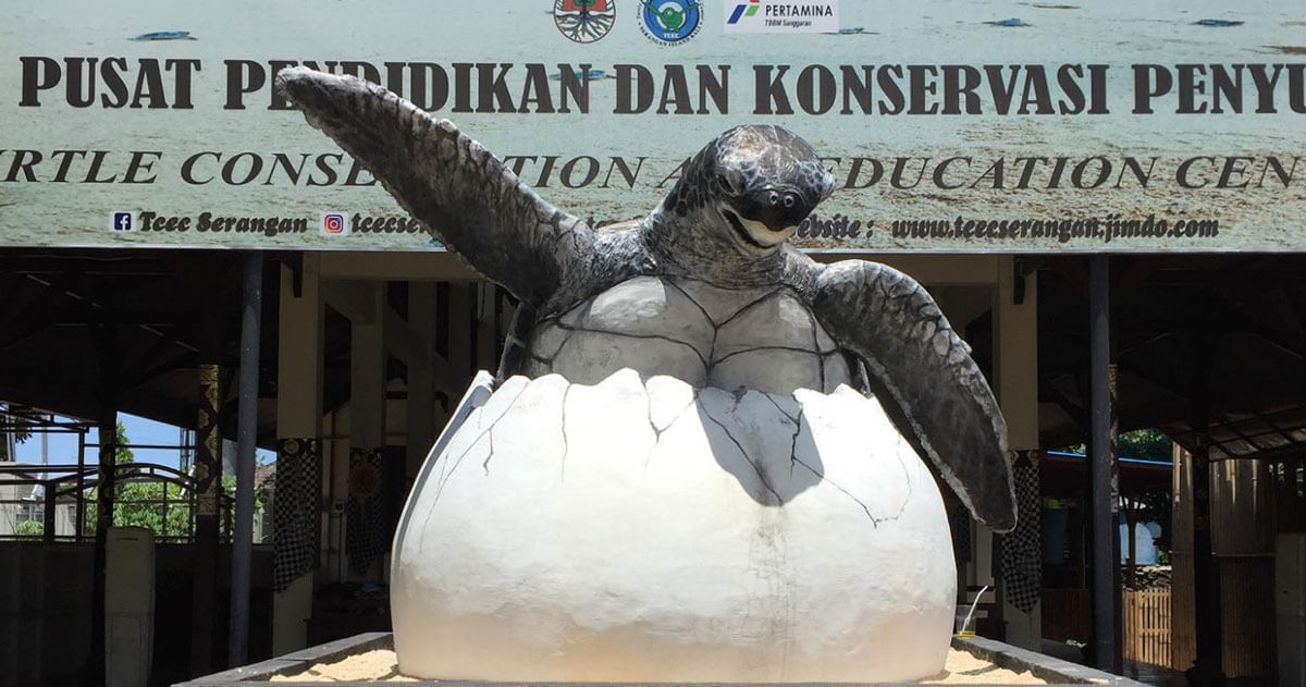 Serangan Turtle Conservation Centre: Bali's Eco-Gem