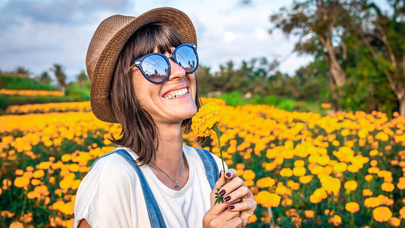 Golden marigold fields in Bali