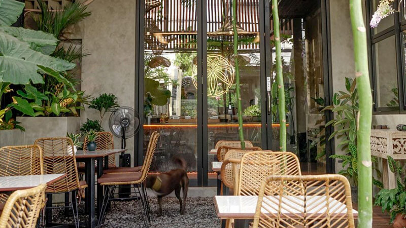 Lush patio seating at The Jardin Cafe in Seminyak, Bali.