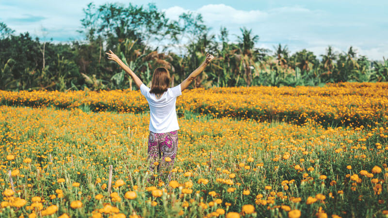 Gemitir Flower Field Tabanan Bali