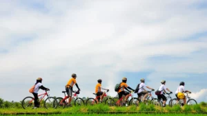 Families enjoy holidays in Ubud by cycling in the area beside the rice fields.