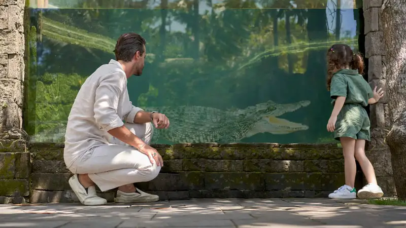 Father and son see crocodiles at Bali Zoo, a family tourist destination in Ubud.