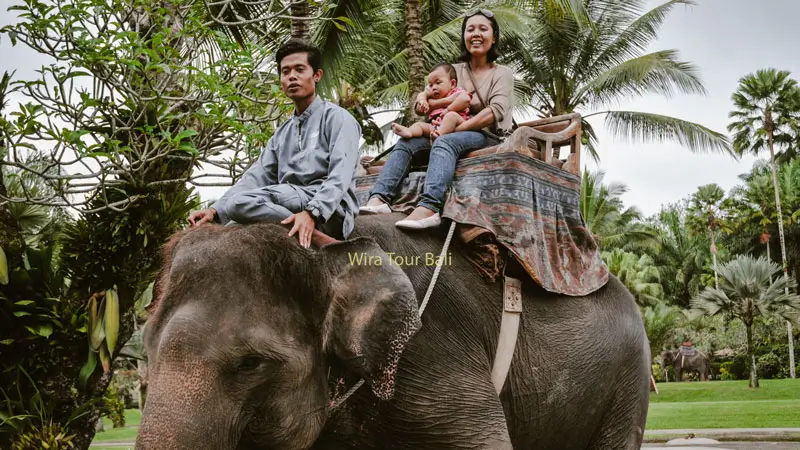 Family enjoys elephant ride at Mason Elephant Park, Ubud.