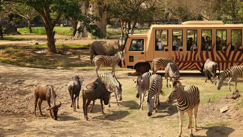 Family safari at Bali Safari and Marine Park, Ubud.