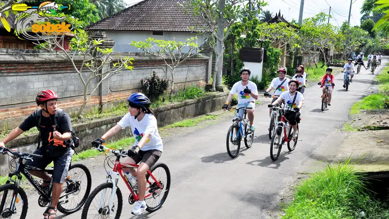 Tourists cycling with guide Sobek in Ubud Bali