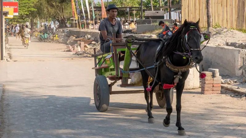 Traditional Cidomo on Gili Island with friendly local driver