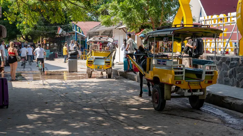 Cidomo on Gili Trawangan