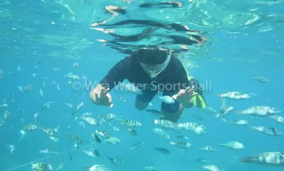 Snorkeling in Labuhan Amuk, Karangasem