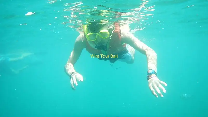 Snorkeling in Tanjung Benoa, South Bali