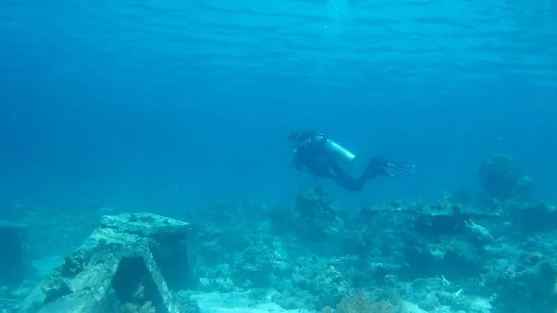 Divers explore the underwater beauty of Menjangan