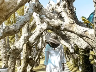 Visitors walk under the unique tree corridor at Big Garden Corner Sanur