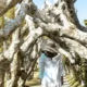 Visitors walk under the unique tree corridor at Big Garden Corner Sanur