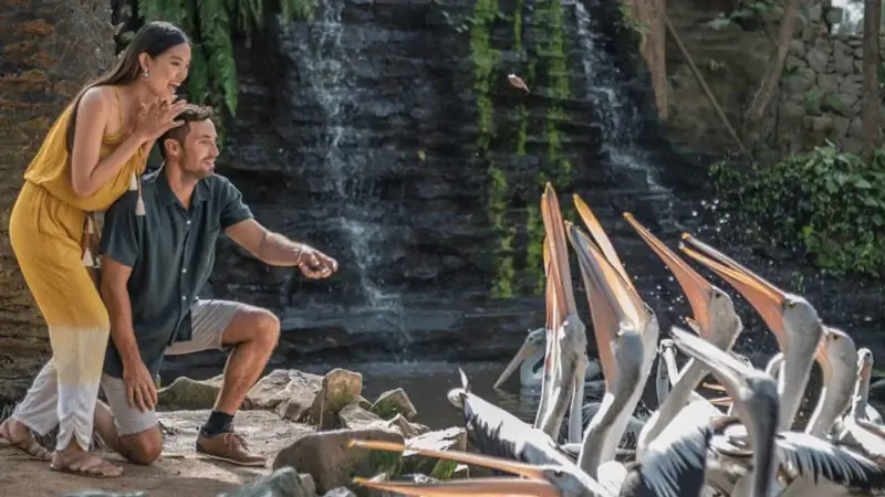 Couple feeding pelicans at the waterfall zone included in the ticket price © Bali Bird Park